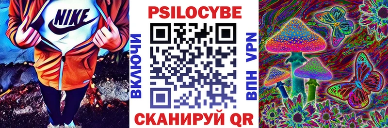 OMG маркетплейс  Вологда  Галлюциногенные грибы Psilocybe 