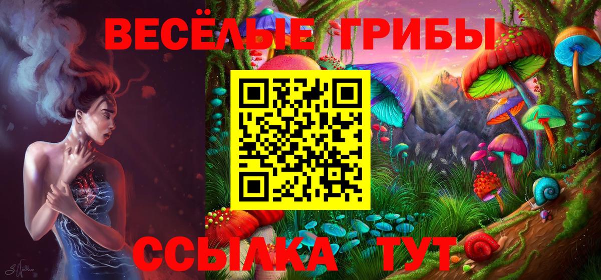 Галлюциногенные грибы Psilocybe  Вход с VPN  Вологда 